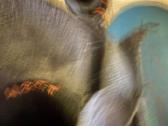 Thirtytwo Binary Boa“ snieglentės batai, 39 dydis - nuotraukos Nr. 12