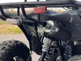Parduodamas Magnum 250 keturratis - nuotraukos Nr. 12