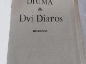 Dvi Dianos - nuotraukos Nr. 2