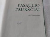 Pasaulio paukščiai - nuotraukos Nr. 2
