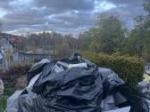 Atiduodamas pilkasis putplastis - nuotraukos Nr. 2