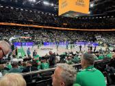 Puikus bilietas 1 aukšte į Žalgiris-partizan - nuotraukos Nr. 2