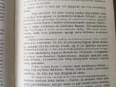 Emilis Zola "Plasano užkariavimas" - nuotraukos Nr. 6