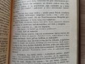Emilis Zola "Plasano užkariavimas" - nuotraukos Nr. 8