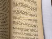 Kviečiai ir Raugės 1938 m. - nuotraukos Nr. 3