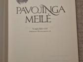 Knyga. Pavojinga meilė - nuotraukos Nr. 2