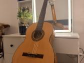Klasikinė gitara - nuotraukos Nr. 9
