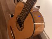 Klasikinė gitara - nuotraukos Nr. 10
