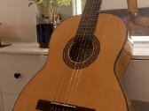 Klasikinė gitara - nuotraukos Nr. 12