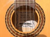 Klasikinė gitara - nuotraukos Nr. 15