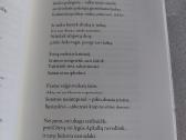 Būta ir palikta - nuotraukos Nr. 3