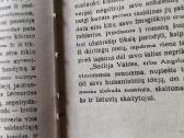 Sirilas Viljaverdė "Sesilija Valdes" - nuotraukos Nr. 14