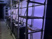 LED šviesos instaliacija ir galinis baro baldas - nuotraukos Nr. 2