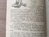 "Tomo Sojerio nuotykiai. Heklberio Fino nuotykiai" - nuotraukos Nr. 8