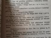"Tomo Sojerio nuotykiai. Heklberio Fino nuotykiai" - nuotraukos Nr. 10