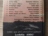 Žiulis Vernas "Robūras Užkariautojas" - nuotraukos Nr. 3