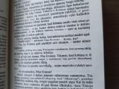 Žiulis Vernas "Robūras Užkariautojas" - nuotraukos Nr. 10