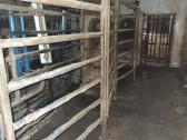 Delaval pieno melžimo aikštelė ir šaldytuvai - nuotraukos Nr. 10