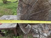 Azuoliniai rastai ir azuolo diles 5cm - nuotraukos Nr. 7