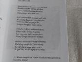 Gyvenimo kalneliai ir pakalnėlės - nuotraukos Nr. 3