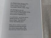 Gyvenimo kalneliai ir pakalnėlės - nuotraukos Nr. 4