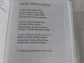 Gyvenimo kalneliai ir pakalnėlės - nuotraukos Nr. 5