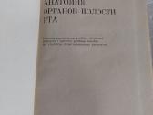 Анатомия органов полости рта - nuotraukos Nr. 2