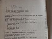 Анатомия органов полости рта - nuotraukos Nr. 8