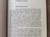 Jack London "Baltoji iltis" - nuotraukos Nr. 7