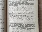 Jack London "Baltoji iltis" - nuotraukos Nr. 8