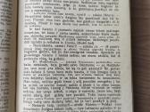 Dž. F. Kuperis "Medžiotojas" - nuotraukos Nr. 6