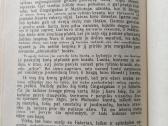 Dž. F. Kuperis "Medžiotojas" - nuotraukos Nr. 9
