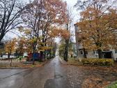 Šviesus ir jaukus 2 kambarių butas - nuotraukos Nr. 15