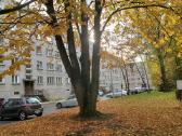 Išnuomojamas butas Šilutės plento pradžioje, 46 m² - nuotraukos Nr. 3