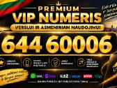 VIP nr 22222 07770 60006 11111 - nuotraukos Nr. 3