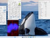 Premium klasės Dell Precision - nuotraukos Nr. 10