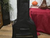 Elektroakustinė gitara Infinity - nuotraukos Nr. 4