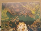 Operomanijos Leidimai. 4lp set - nuotraukos Nr. 6