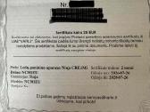 Ninja Creami Deluxe ledų gaminimo aparatas - nuotraukos Nr. 2