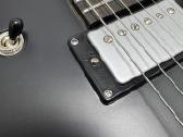 Harley Benton Agufish Std Signature Bk - nuotraukos Nr. 3