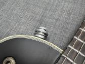 Harley Benton Agufish Std Signature Bk - nuotraukos Nr. 7
