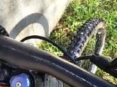 Canyon Torque Dhx Downhill dviratis - nuotraukos Nr. 19