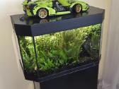 Juwel Panorama 80 120 litre akvariumas - nuotraukos Nr. 2