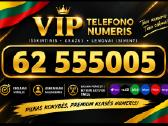 VIP nr 22222 07770 60006 11111 - nuotraukos Nr. 4
