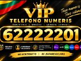 VIP nr 22222 07770 60006 11111 - nuotraukos Nr. 5