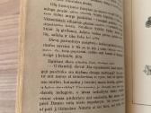 G. Švabas "Odisėjo klajonės" - nuotraukos Nr. 5