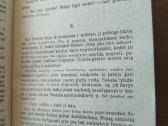 Levas Tolstojus "Karas ir taika" 1-4 tomai - nuotraukos Nr. 3