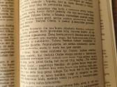 Džekas Londonas "Smokas Belju" - nuotraukos Nr. 8