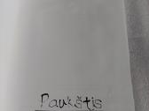 Paukštis - nuotraukos Nr. 2