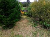 Parduodamas 1,4 ha žemės ūkio paskirties sklypas - nuotraukos Nr. 4